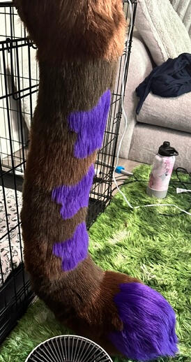 Starry Tail